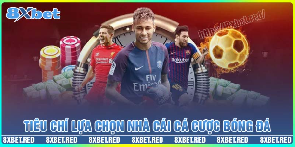 Những tiêu chí lựa chọn nhà cái cá cược bóng đá