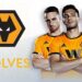 Debet hợp tác Wolves – Bản hợp đồng tài trợ cực cao