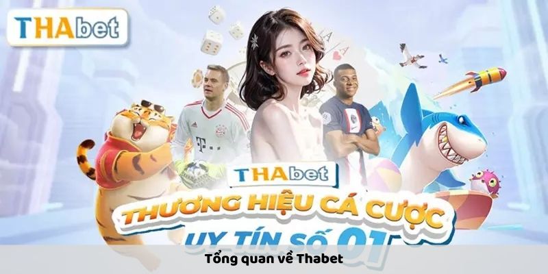 Tổng quan về Thabet
