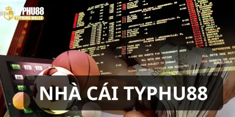 Đánh giá của thành viên về nhà cái Typhu88