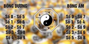 Kép Lệch Là Gì? Cách Chơi Chuẩn Để Đạt Hiệu Quả Cao