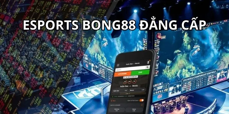 Lịch Sử Và Phát Triển Của Bong88
