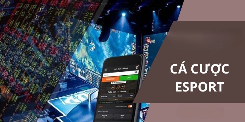 Tổng quan cá cược esport bong88