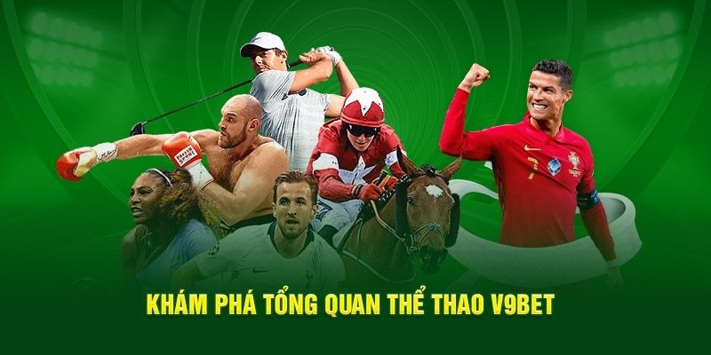 Giới thiệu sảnh thể thao V9bet