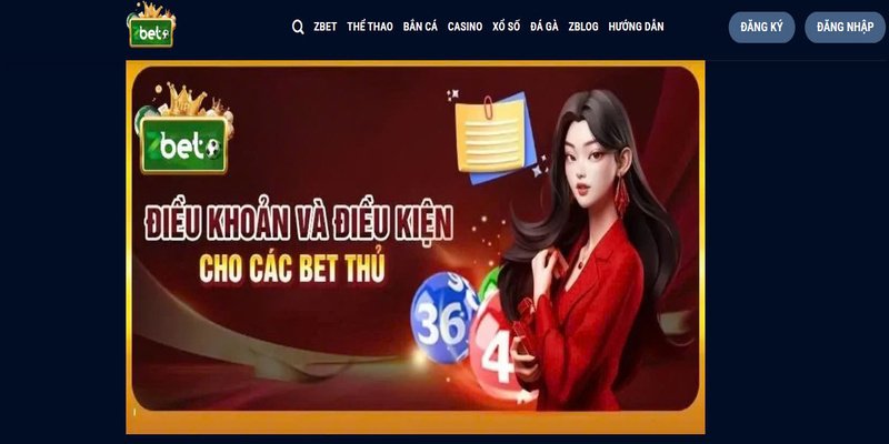 Trang web Z bet có rất nhiều sự yêu mến từ nhiều người năm 2025