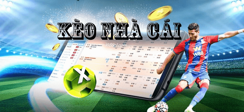 Kèo nhà cái là gì? Theo kèo, hiểu kèo, làm chủ cuộc chơi