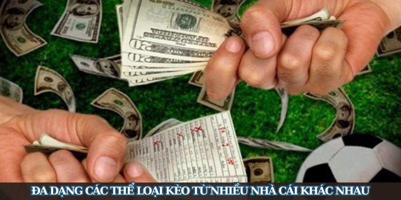 Đa dạng kèo cược