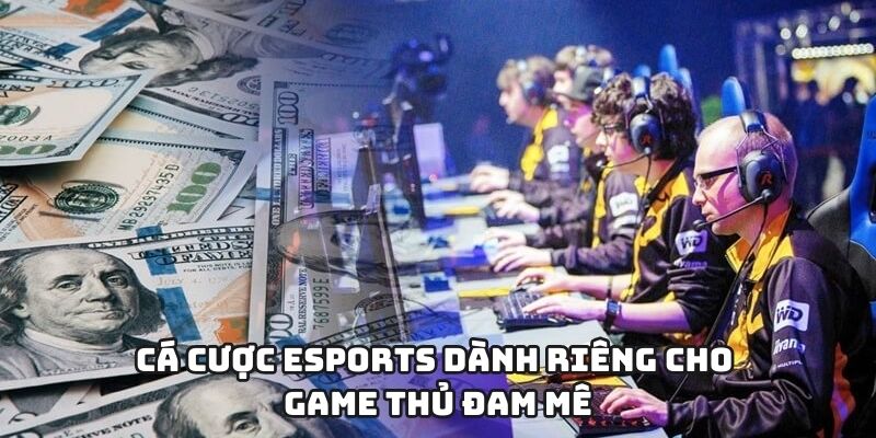 Cá cược eSports dành riêng cho game thủ đam mê