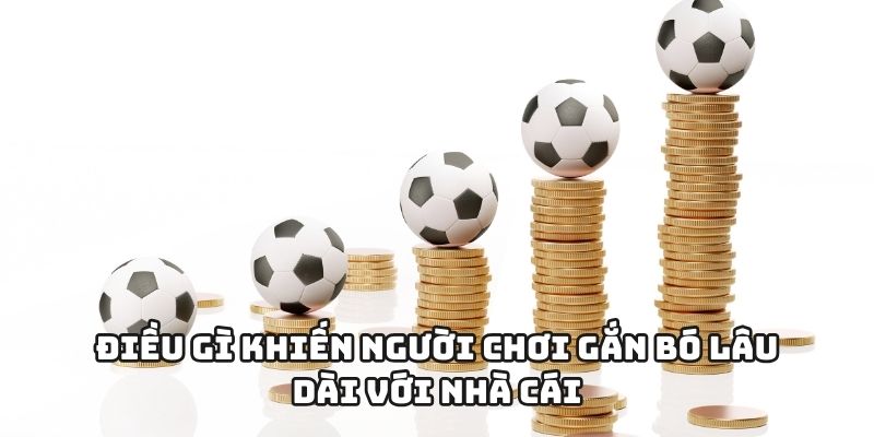 Điều gì khiến người chơi gắn bó lâu dài với rikvip?