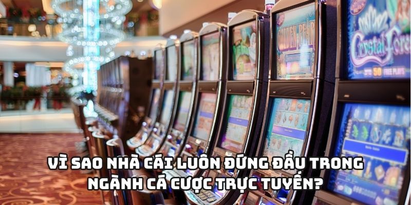 Vì sao nhà cái luôn đứng đầu trong ngành cá cược trực tuyến?