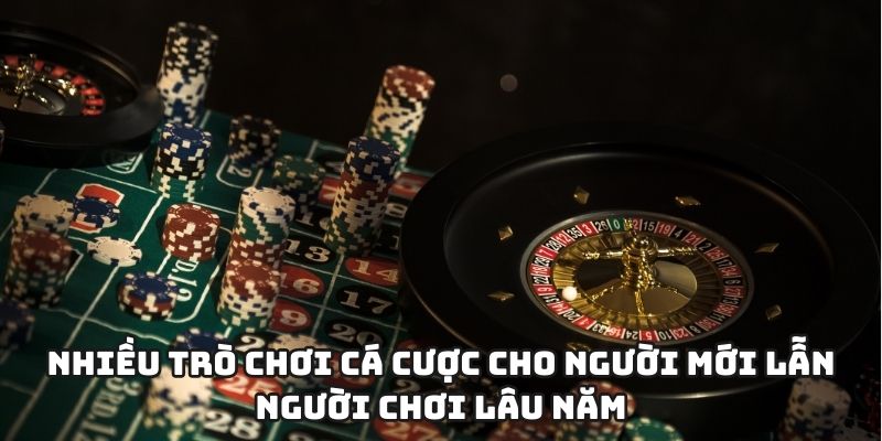 Nhiều trò chơi cá cược cho người mới lẫn người chơi lâu năm