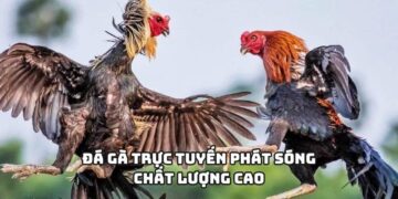 Cổng Game Net88 Lựa Chọn Thông Minh Cho Game Thủ Hiện Đại