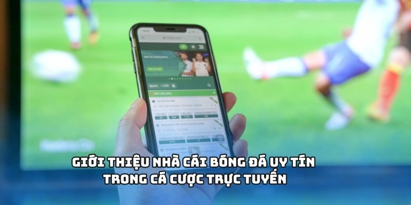 Sảnh thể thao chất lượng đa dạng hấp dẫn