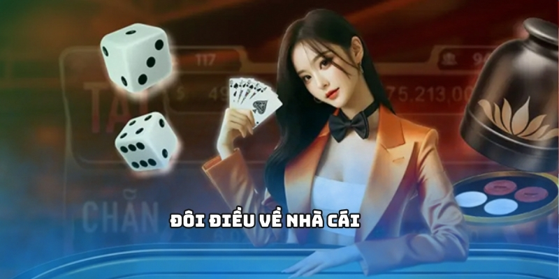 Đôi điều về nhà cái