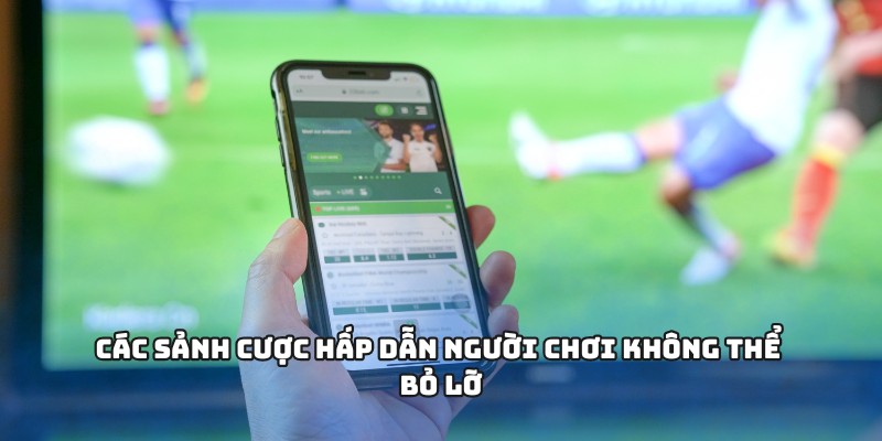 Các sảnh cược hấp dẫn người chơi không thể bỏ lỡ