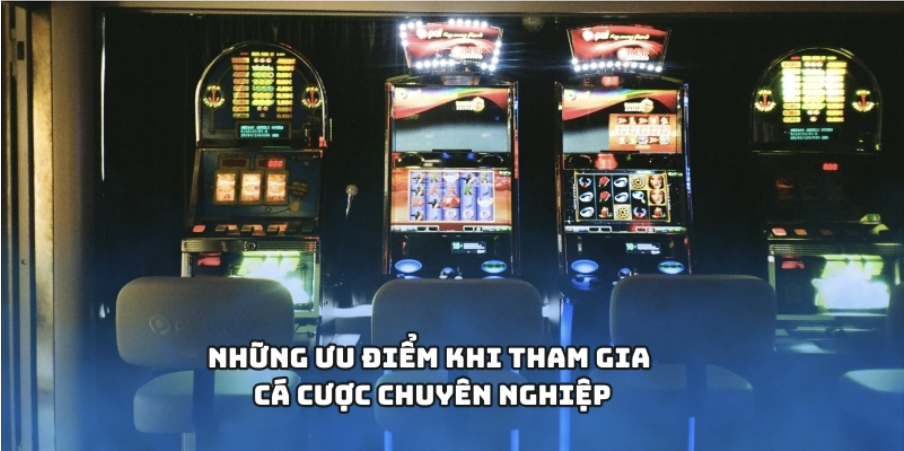 Những ưu điểm khi tham gia cá cược chuyên nghiệp