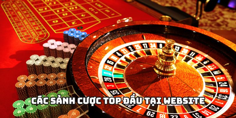 Các sảnh cược top đầu tại website không thể bỏ lỡ