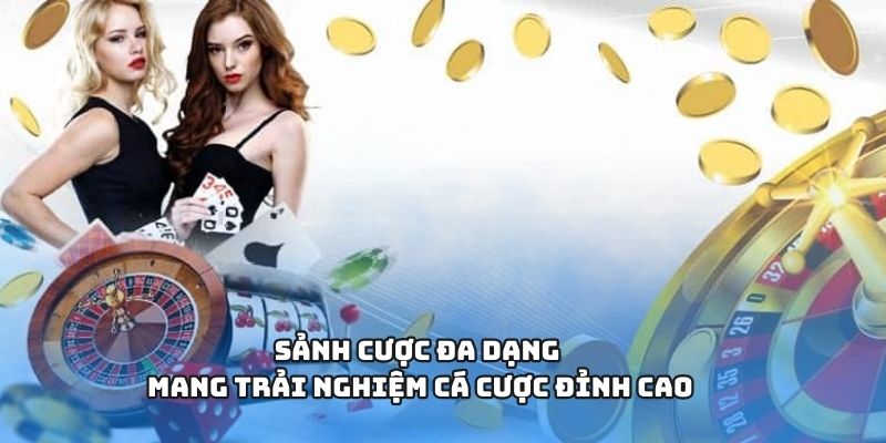 Sảnh cược đa dạng mang trải nghiệm cá cược đỉnh cao
