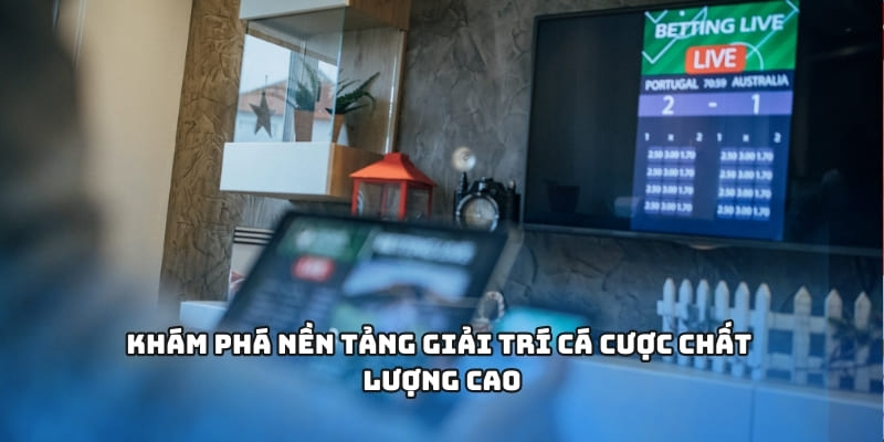 Khám phá nền tảng giải trí cá cược chất lượng cao