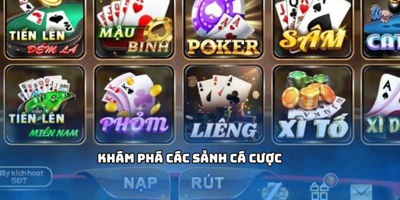 Khám phá các sảnh cá cược