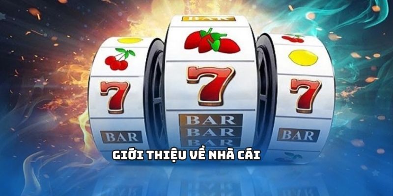 Giới thiệu về nhà cái