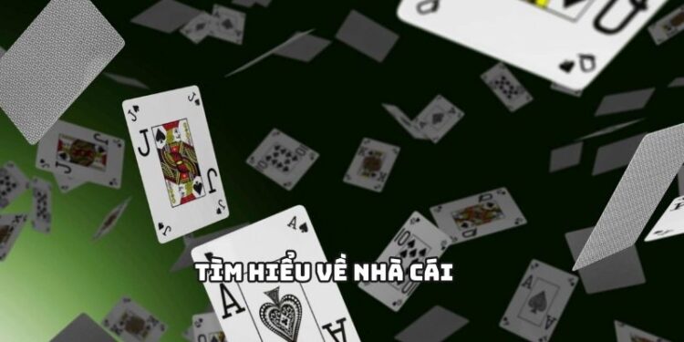 Các sảnh cược đẳng cấp