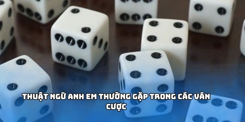 Thuật ngữ thường gặp trong các ván cược