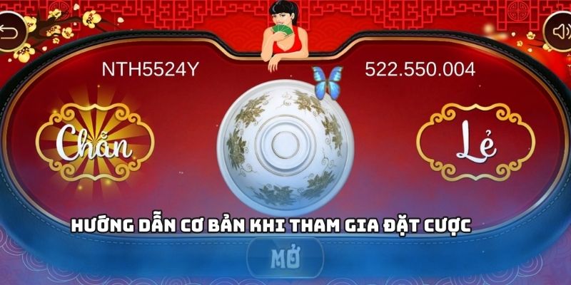 Hướng dẫn tham gia cá cược đúng chuẩn