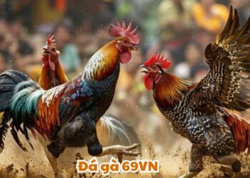 Đá Gà 69VN: Tỷ Lệ Lợi Nhuận 90% – 95% Từ Các Kèo Cược Hấp Dẫn