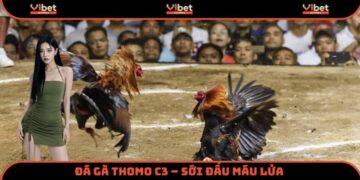 Đá Gà Thomo C3 – Sới Đấu Máu Lửa Bậc Nhất Đông Dương