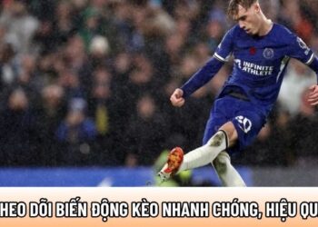 Theo dõi biến động kèo nhanh chóng, hiệu quả tại keonhacai.cat