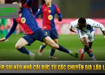 Bí kíp soi kèo nhà cái Đức từ các chuyên gia lão làng