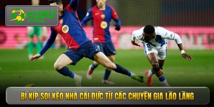 Bí kíp soi kèo nhà cái Đức từ các chuyên gia lão làng