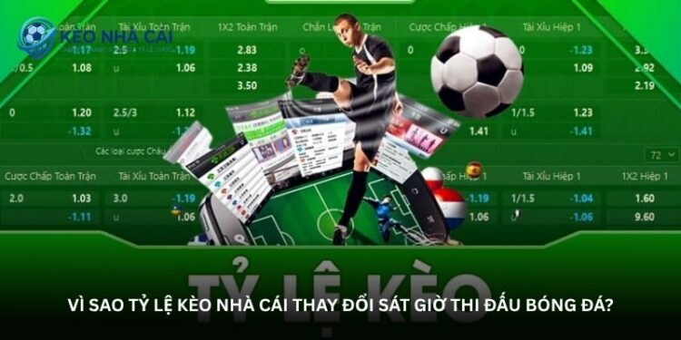 Góc nhìn dân chơi lâu năm về tỷ lệ kèo nhà cái hôm nay